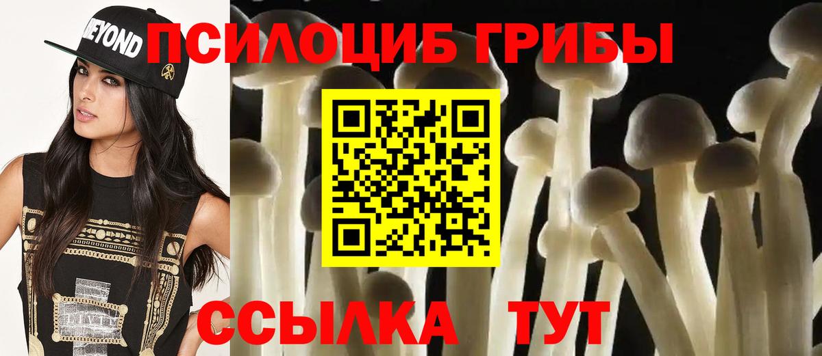 Псилоцибиновые грибы ЛСД  Вход с VPN  Майкоп  Псилоцибиновые грибы Psilocybine cubensis 