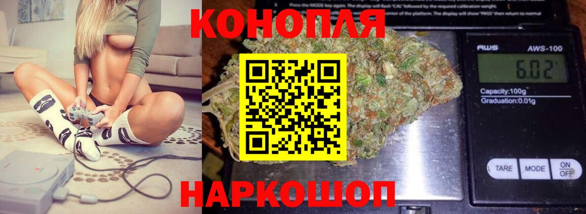 Бошки Шишки семена Майкоп